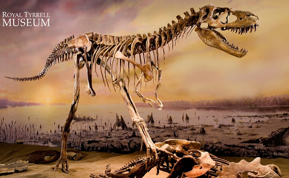    オンラインセミナー    【HIS貸切ライブ】一度は行ってみたい！世界三大恐竜博物館@Royal Tyrrell Museum
